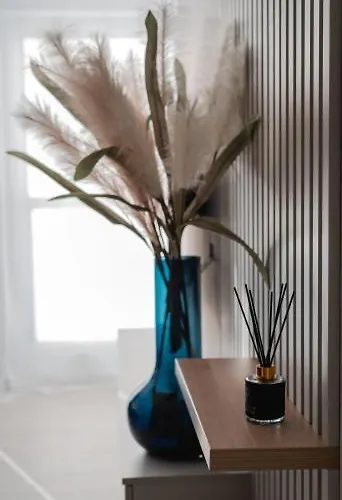 Silvia Karolinki 78 Appartement Gliwice